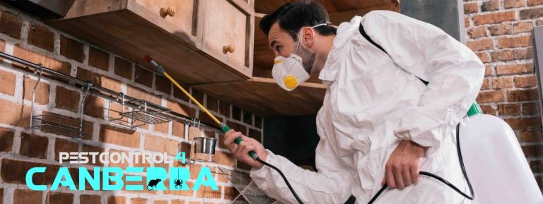 Mite Pest Control 4 Canberra 5 768x289