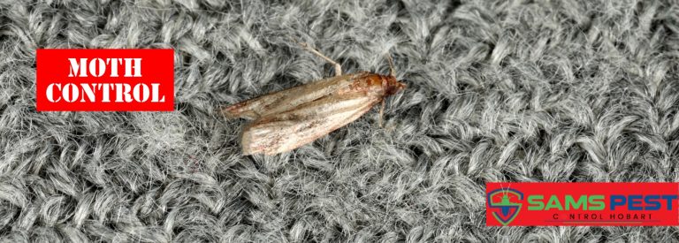 Sams Moth Control Hobart 9 768x275