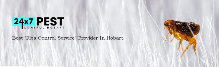 flea control hobart 768x237