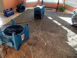 flood damage carpet cleaning