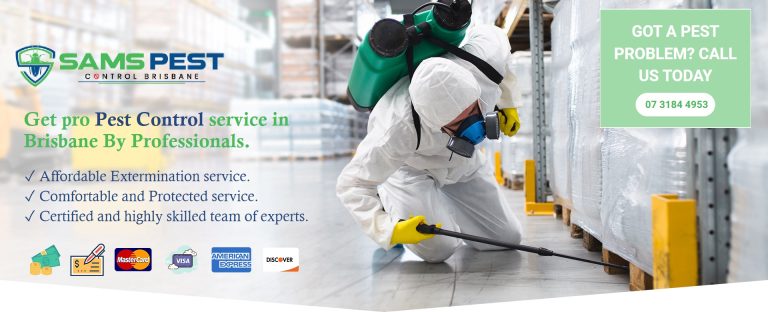 sams Pest Control Brisbane 2 768x312