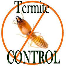 termite 5 1