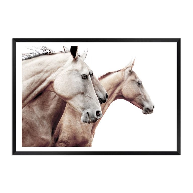 3 Palomino Horses Wall Art Photograph Print Canvas Picture Artwork Black Framed Unframed Beautiful Home Decor 1 768x768
