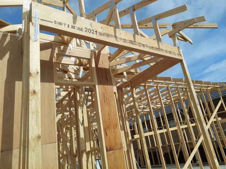 Building Inspection Caroline Springs 768x576