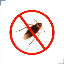 cockroach 2