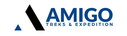 logo amigo