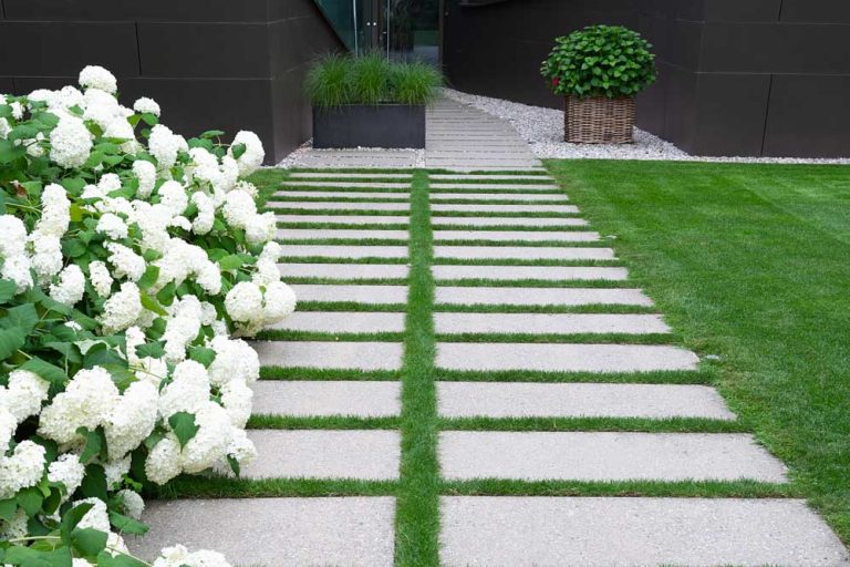 paved pathway in backyard 768x512