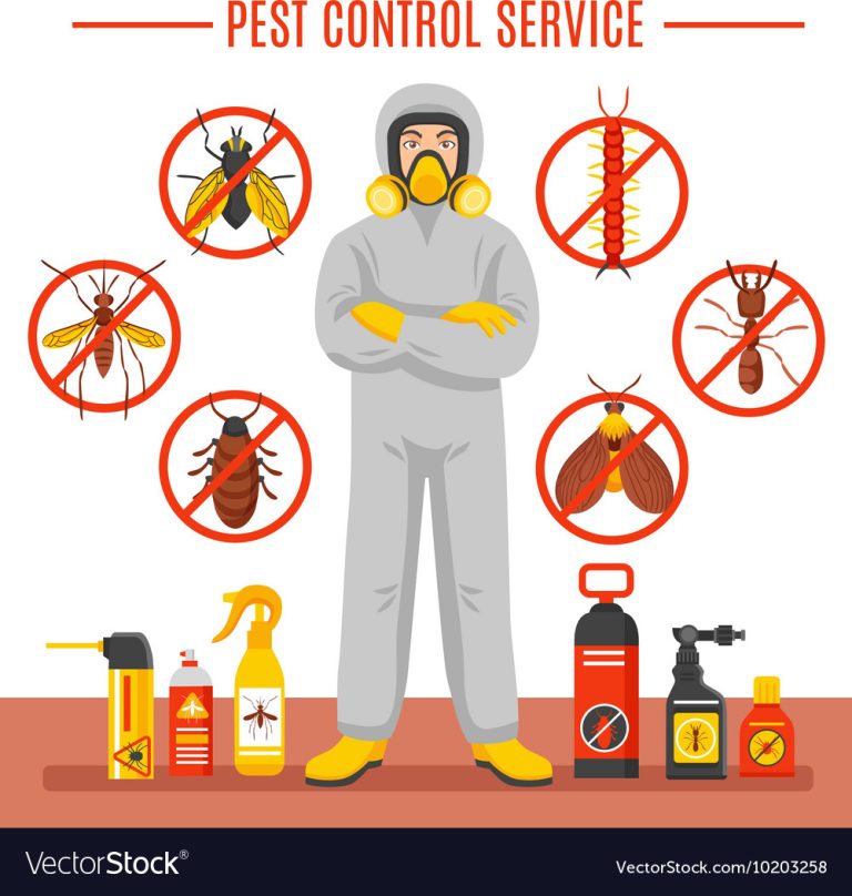 pest 5 768x808