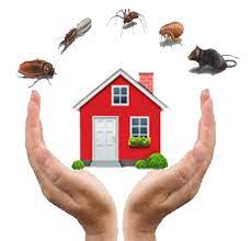 pest control 1