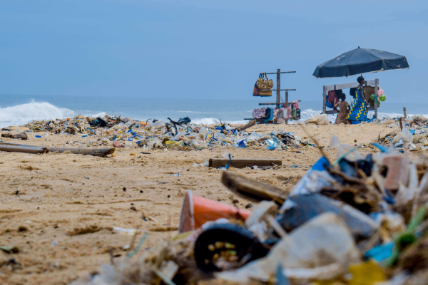 Commercial Waste Removal Commercial Waste Removal