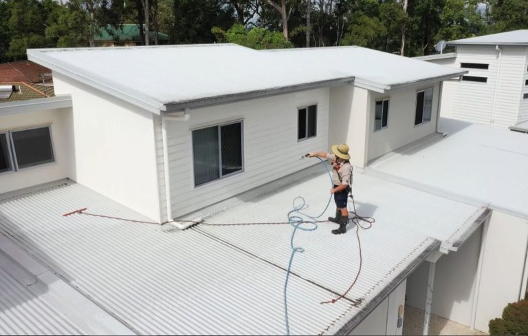 Roof Cleaning 1 768x488