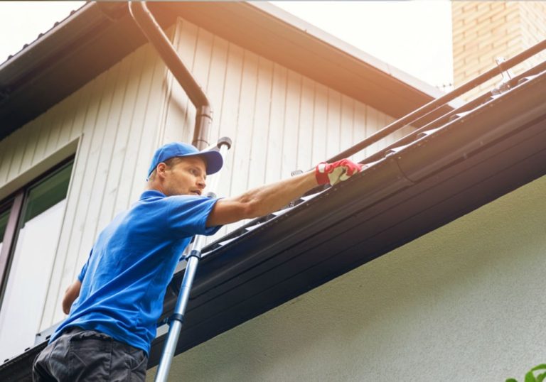 Services Gutter Cleaning 768x538