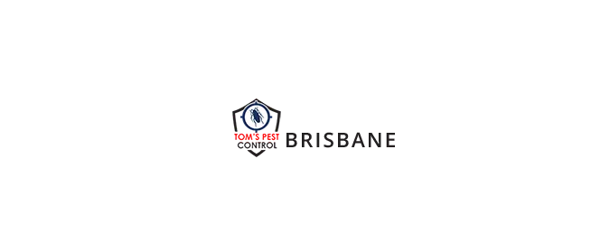 TPc Brisbane