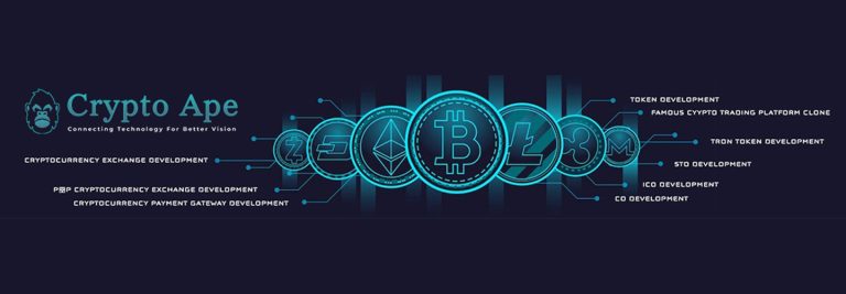 crypto ape cover 768x267