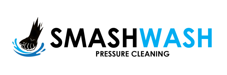 logo website 768x256