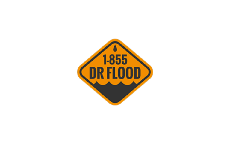 Dr Flood 1 768x480