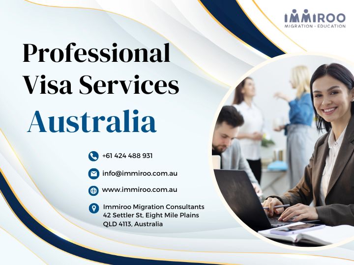 Professional visa services
