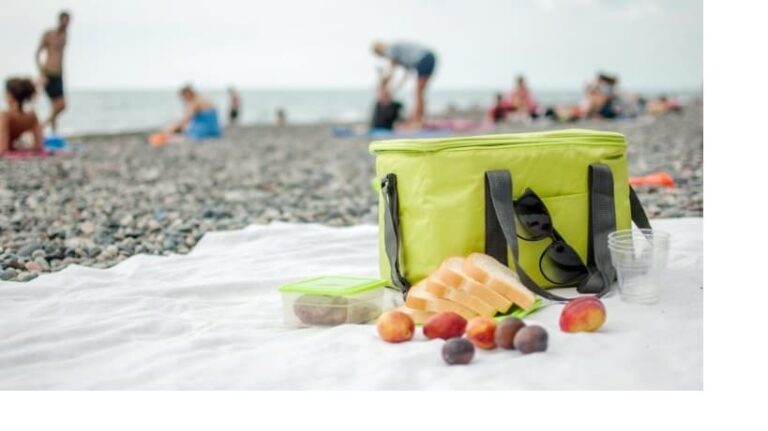 origin of cooler bags 768x431
