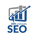 499 a month seo