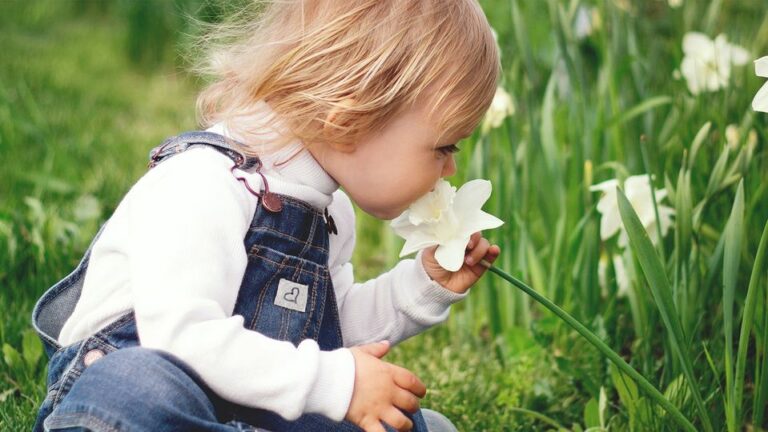 Early Learning 768x432