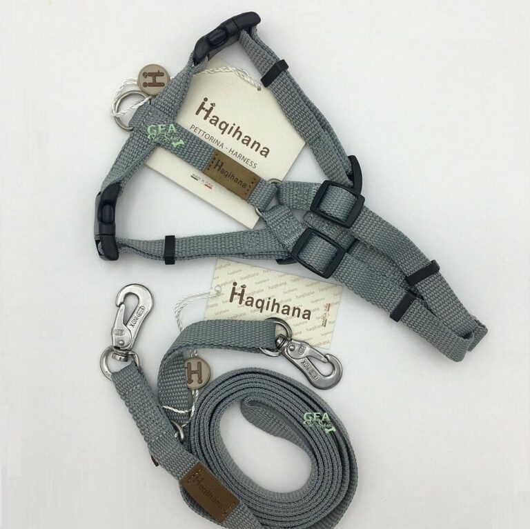 Haqihana Harness Australia Best Long Lead Dog Walk 1 768x767