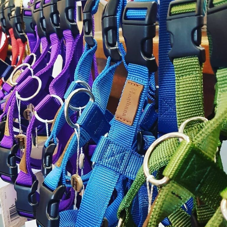 Haqihana Harness Australia Best Long Lead Dog Walk 3 768x768