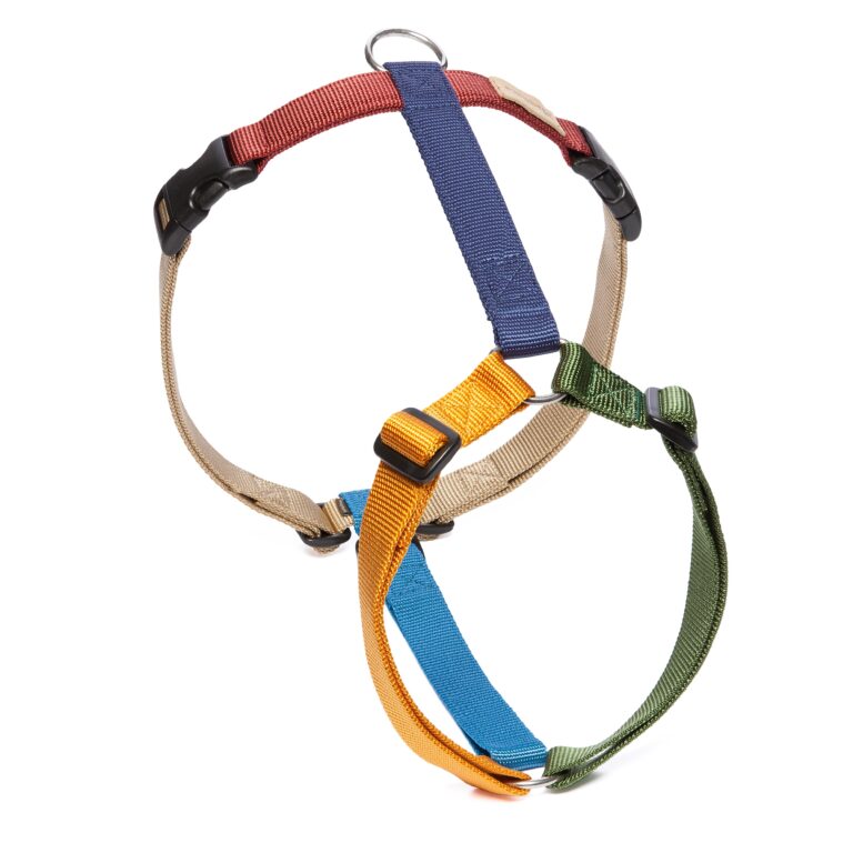 Harness Multicolour High Resolution 768x768