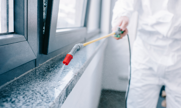 Pest Control Services