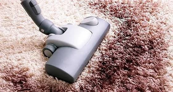 carpet cleaning services 9999px217.x217.200619183912.p5d8 x8u0tih