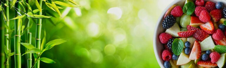 ekopak main banner 768x231