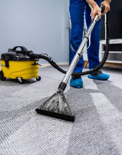 expert carpet cleaning
