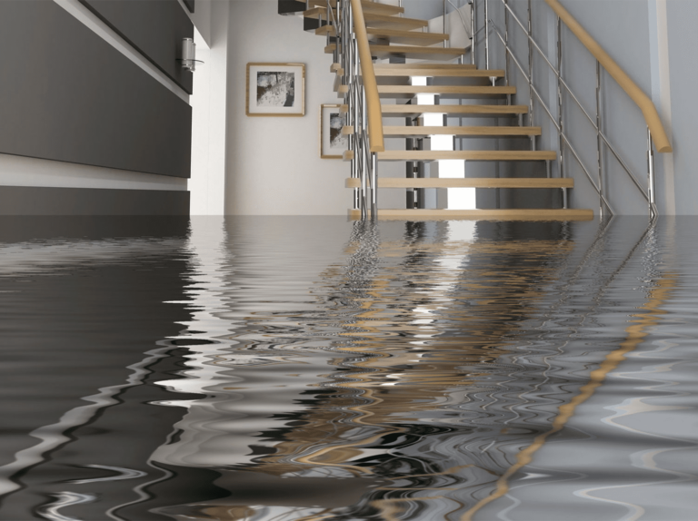 flooding cleanup company near me 768x574