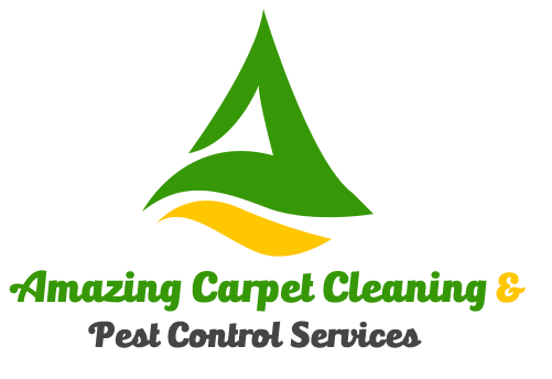 logo 24