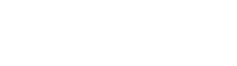 marsdenparkchiropracticlogowhite LOGO 768x215