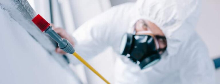 pest control brisbane 768x296