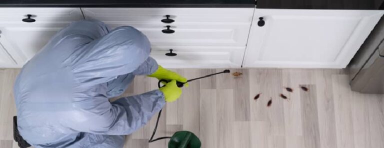 pest control hobart 768x296
