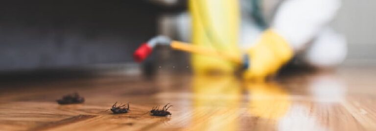 pest control melbourne 768x269
