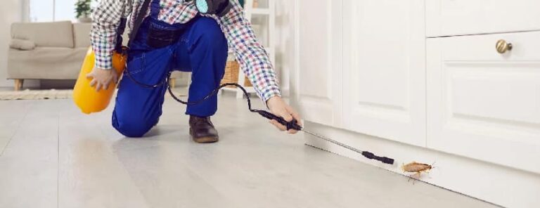 pest control perth 768x296