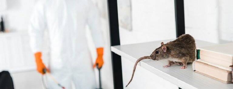 pest control sydney 768x296
