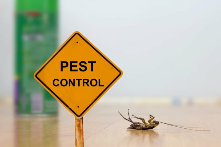 reliable pest control 1 768x512
