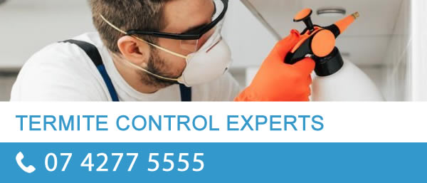 termite control experts