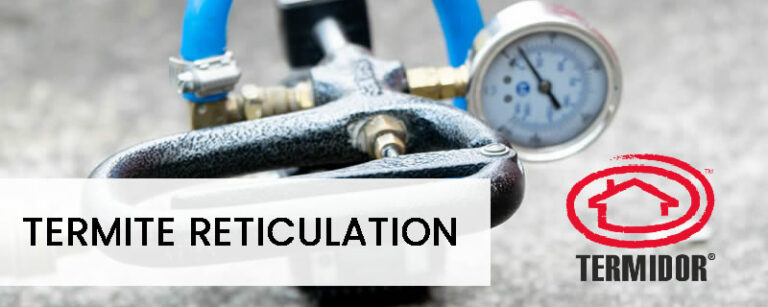 termite reticulation systems cairns 768x307