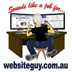 websiteguy web designer