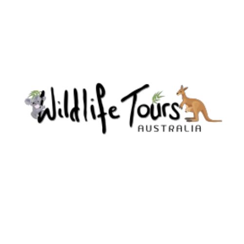 wildlife tours 1