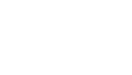 SynergyGraphicsWordmark 1