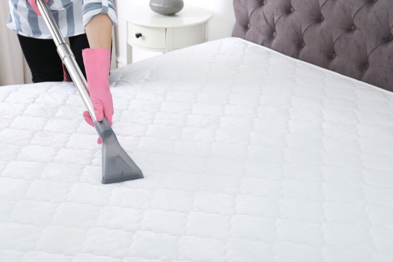 bigstock Woman Disinfecting Mattress Wi 283992901 768x512