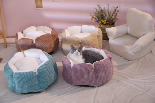 cat dog bed
