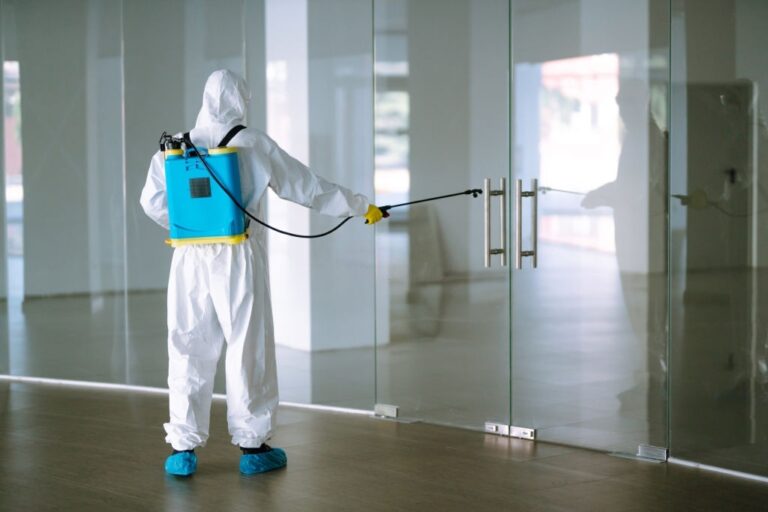 pest control 21 1 768x512