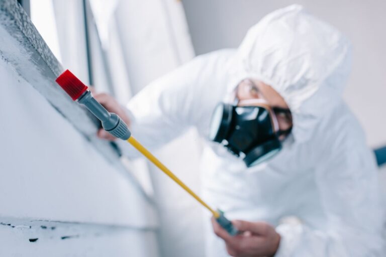 pest control 23 768x512
