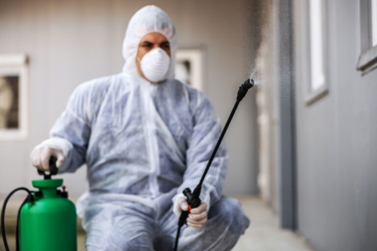 pest control 24 768x512